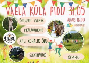 Vaela küla pidu